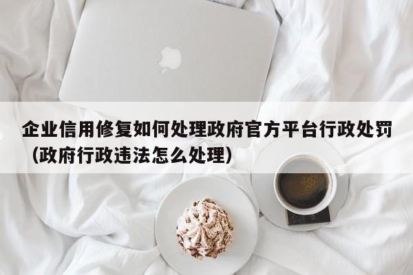 企业信用修复如何处理政府官方平台行政处罚（政府行政违法怎么处理）