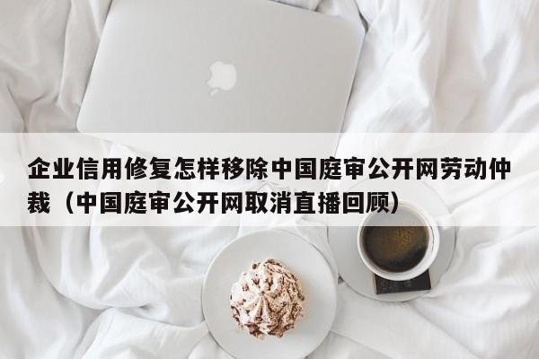 企业信用修复怎样移除中国庭审公开网劳动仲裁（中国庭审公开网取消直播回顾）