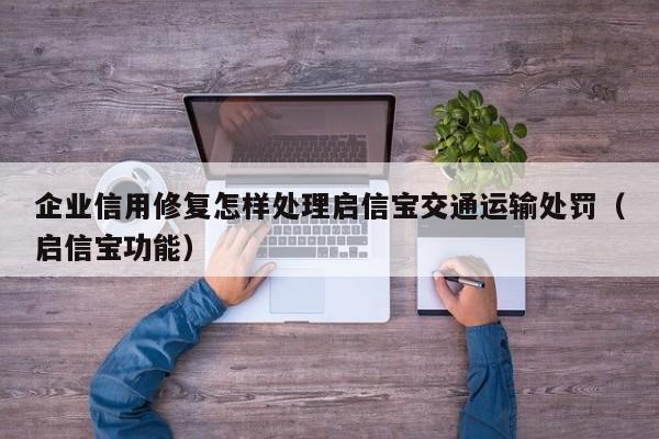 企业信用修复怎样处理启信宝交通运输处罚（启信宝功能）