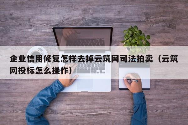 企业信用修复怎样去掉云筑网司法拍卖（云筑网投标怎么操作）
