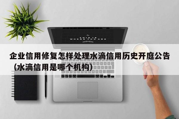 企业信用修复怎样处理水滴信用历史开庭公告（水滴信用是哪个机构）