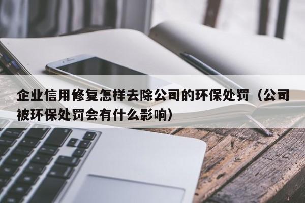 企业信用修复怎样去除公司的环保处罚（公司被环保处罚会有什么影响）