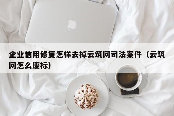 企业信用修复怎样去掉云筑网司法案件（云筑网怎么废标）