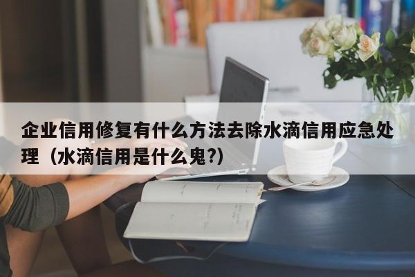 企业信用修复有什么方法去除水滴信用应急处理（水滴信用是什么鬼?）