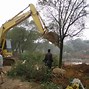 有什么措施去掉汇法网税务处罚的简单介绍