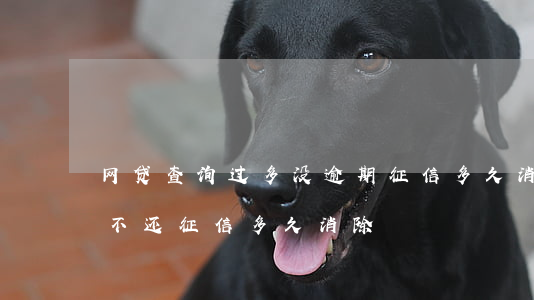 企业信用修复怎么查自己的网贷欠款(怎么查自己的网贷欠款免费)
