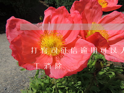 企业信用修复有官司记录几年可以消除(申请人存在司法执行记录怎么办)