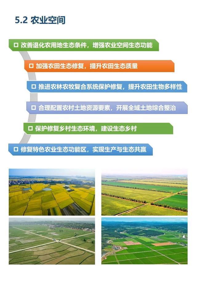 企业信用修复生态修复行业前景(生态修复行业前景分析)